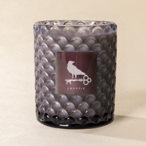 Poured New York - Double Wick Vintage Etched Glass Soy Coconut Wax Candle - 22 oz - 100 HR - CRYPTIC