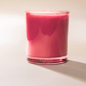 Poured New York - Double Wick Soy Coconut Wax Candle - 20 oz - 90 HR - PIMMS & NEEDLES