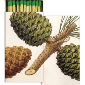 HomArt - Decorative Matchboxes - PINECONES