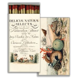 HomArt – Decorative Matchboxes – SHELLS 1775