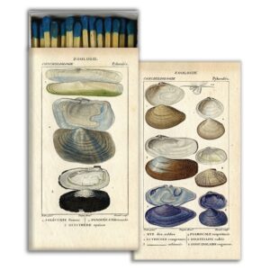 HomArt – Decorative Matchboxes – SEASHELL SPECIMENS