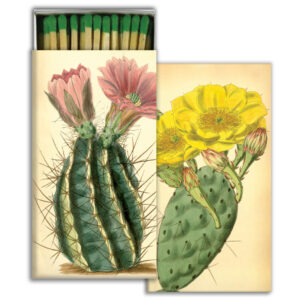 HomArt – Decorative Matchboxes – FLOWERING CACTI