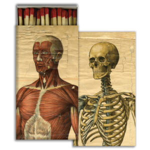 HomArt – Decorative Matchboxes – MUSCLE MAN & SKELETON