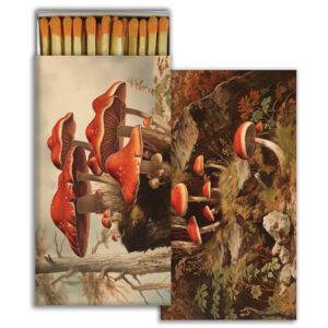 HomArt – Decorative Matchboxes – FALL MUSHROOMS