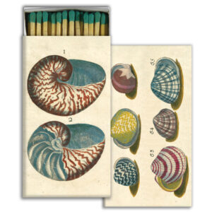 HomArt – Decorative Matchboxes – 18TH CENTURY SHELLS