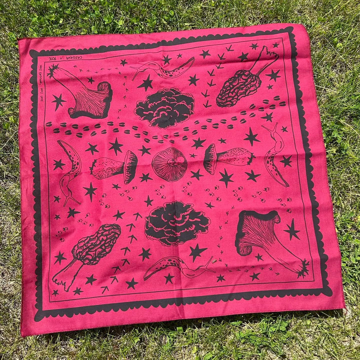Cassava & Rye - Bandana - Foragers and Their Finds - 22 in x 22 in -MAROON