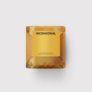 Boy Smells - 2026 Holiday Smells Collection - Standard Candle - 8.5 oz - 50 HR - Soy Wax - INCENSORIAL
