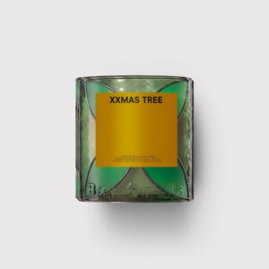 Boy Smells - 2026 Holiday Smells Collection - Standard Candle - 8.5 oz - 50 HR - Soy Wax - XXMAS TREE