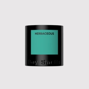 Boy Smells - Hero Collection - Standard Candle - 8.5 oz - 50 HR - Soy Wax - HERBACEOUS